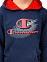 Hooded Sweatshirt, толстовка