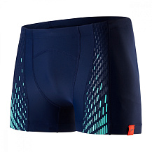 Аквашорты мужские Speedo Fit PowerMesh Pro Aquashort