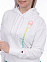 Hooded Sweatshirt, толстовка