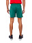 Trad Short 352, шорты