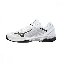 Кроссовки для тенниса мужские Mizuno Wave Exceed SL 2 AC