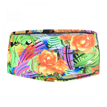 Плавки мужские Speedo Funk Burst 14cm Allover Brief