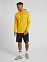 HMLGO COTTON HOODIE, толстовка с капюшоном