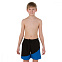 Шорты пляжные подростковые Speedo Colour Block 15" Watershort