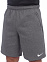 MENS FLC PARK20 Short, шорты