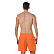 Шорты пляжные мужские Speedo Scope 16" Watershort