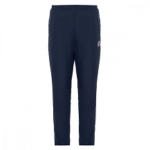 Брюки утепленные мужские Lotto Basic Padded Pants