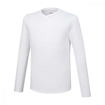Футболка мужская Mizuno BT Under V neck LS