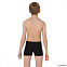 Аквашорты подростковые Speedo Trooper Logo Panel Aquashort