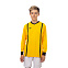 Футболка игровая Umbro Winchester Jersey LS