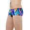 Плавки мужские Speedo Fizz Bounce 14cm Allover Brief