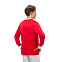 Футболка игровая Umbro Winchester Jersey LS