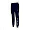 Брюки мужские Mizuno Terry Pant long Version