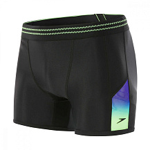 Шорты мужские Speedo Hydrosense Panel Aquashort