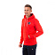Толстовка мужская Champion Hooded Sweatshirt