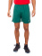 Trad Short 352, шорты