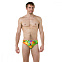 Плавки Speedo Funk Burst 5cm Allover Brief