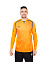 IRELAND JERSEY L/S футб.игров. дл. рук.