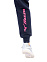 Mizuno Sweat Pant Long Version (W), брюки удлиненные