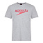 SPEEDO Large Logo T-Shirt grey футболка