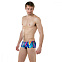Плавки мужские Speedo Fizz Bounce 14cm Allover Brief