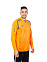 IRELAND JERSEY L/S футб.игров. дл. рук.