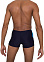 SPEEDO Dive Aquashort аквашорты муж