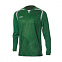 Футболка мужская Umbro Ireland Jersey L/S
