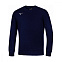 Толстовка мужская Mizuno Terry Crew