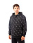 LS ICONIC AO P/O HOODIE, толстовка