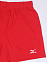 Premium Short Tall, шорты