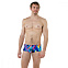 Плавки мужские Speedo Fizz Bounce 14cm Allover Brief