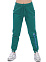POWERBLEND JOGGER, брюки