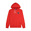 Толстовка мужская Champion Hooded Sweatshirt