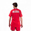 Футболка мужская Mizuno PTopShortSleeve +5cm